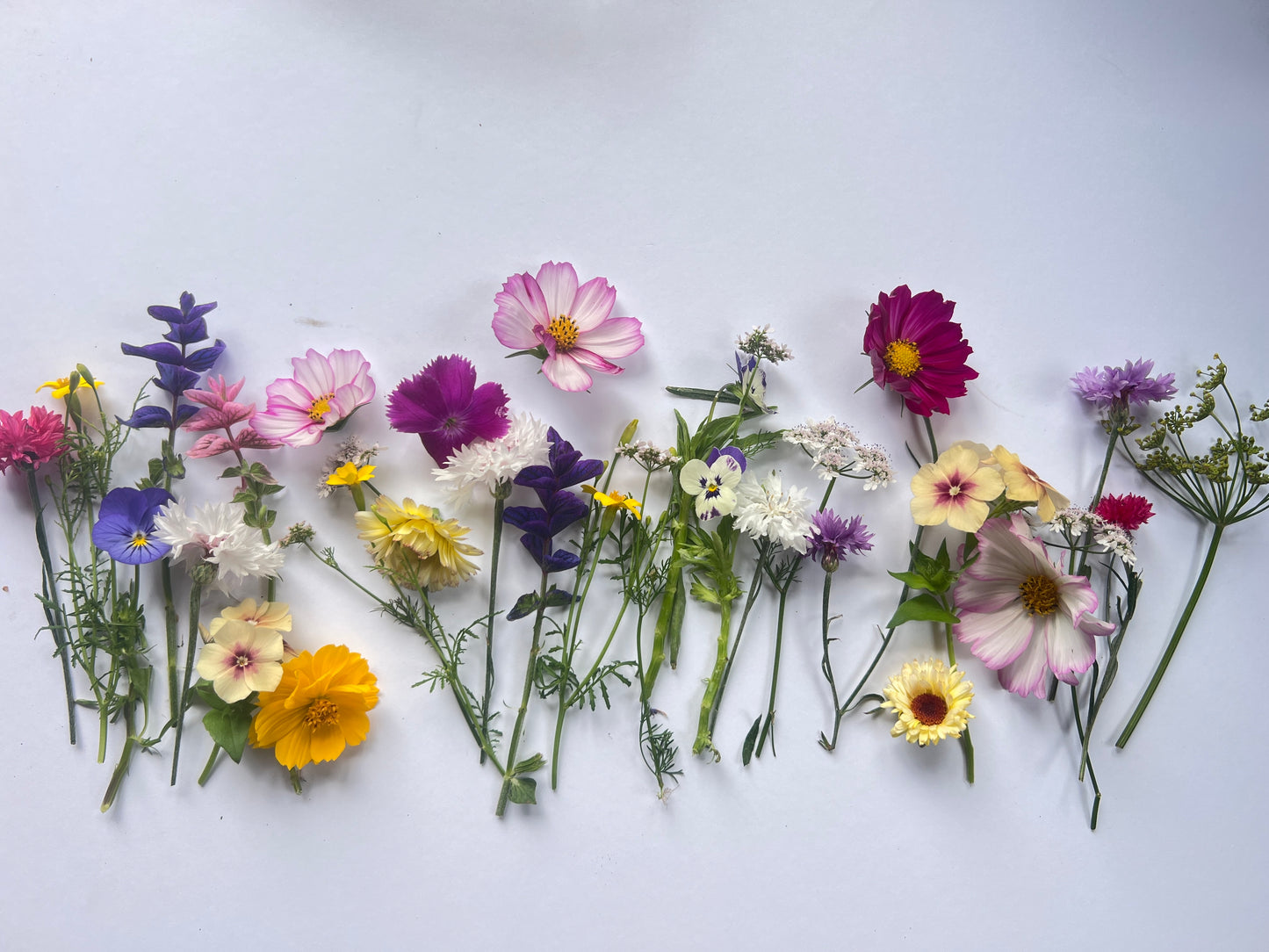 Edible flower mix suitable for pressing