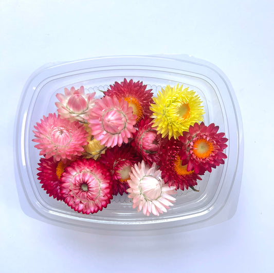 Strawflowers