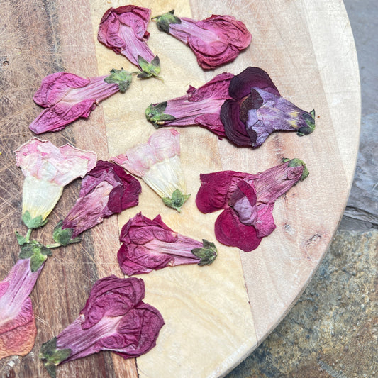 Pressed snapdragons