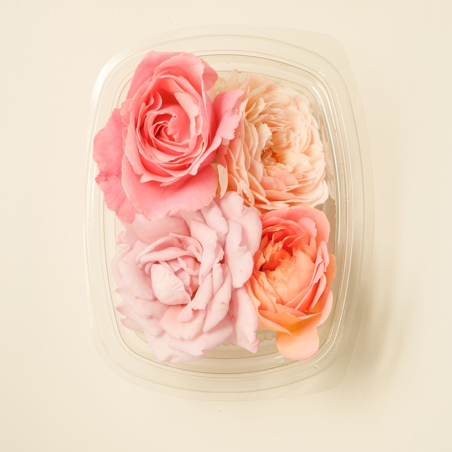 Scented roses (David Austin)