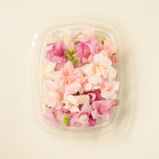 Snapdragons