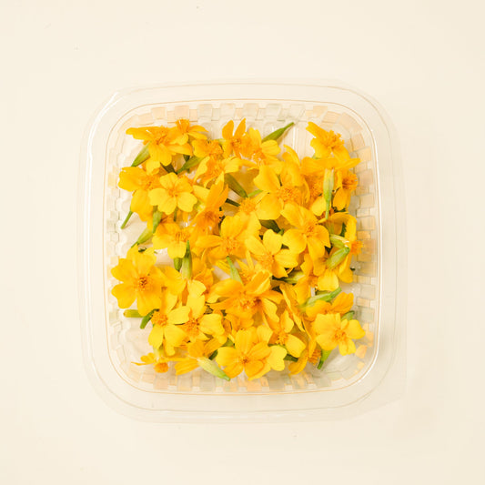 Tiny tagetes