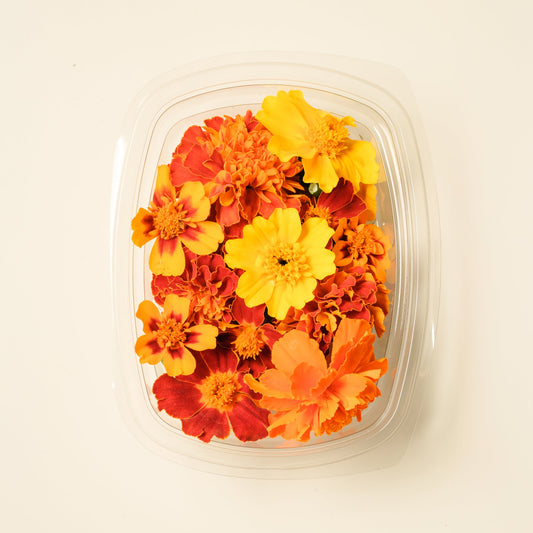 Tagetes