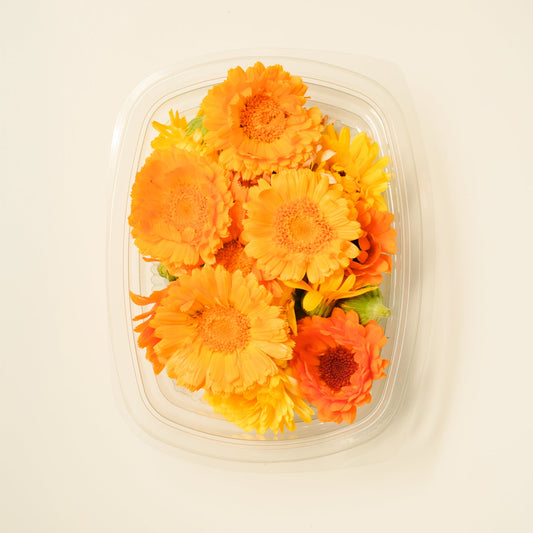 Calendula