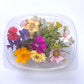 Edible flower mix suitable for pressing